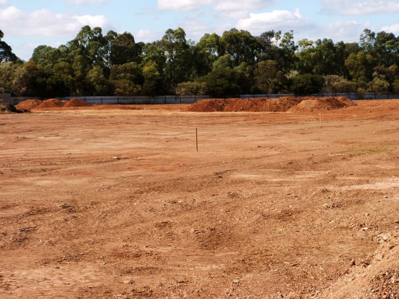 Construction Site Land Clearing in Houston, TX