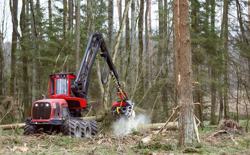 Forestry Clearing in Marietta, GA