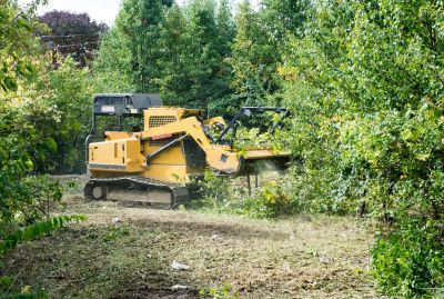 Lake Lot Clearing in Katy, TX