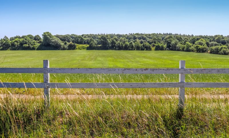Pasture Clearing in Houston, TX