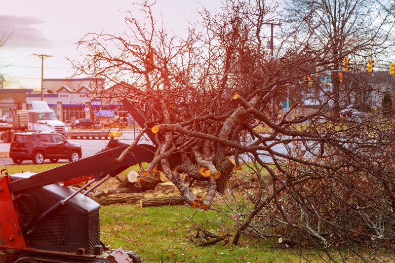Site Clearing Service in Katy, TX