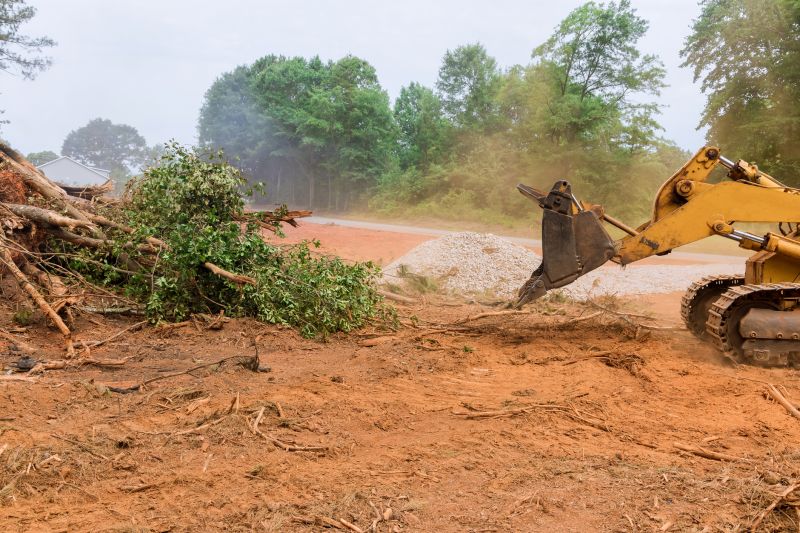 Site Clearing Service in Katy, TX