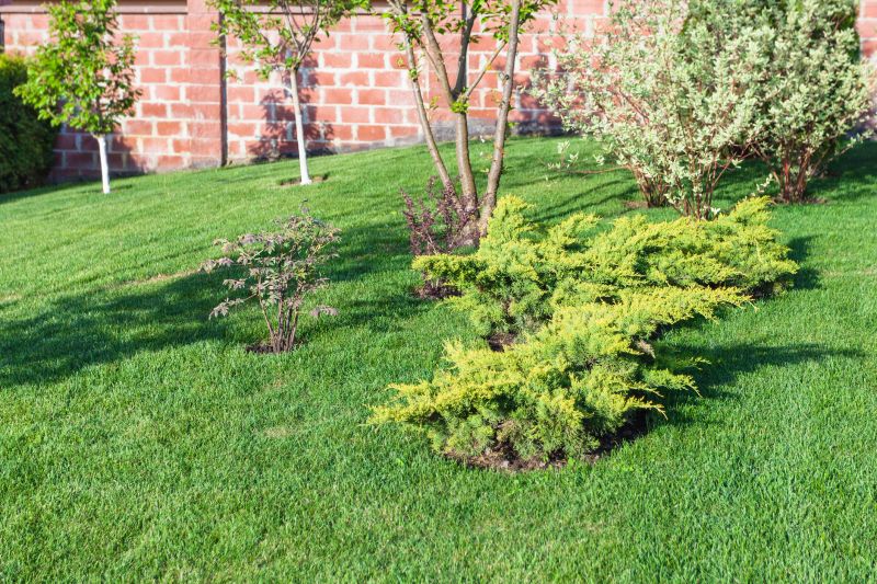 Landscaped yard with proper slope